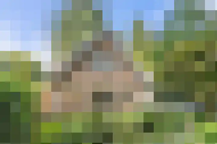 Bosmeesterskamp 3 A Bennekom thumbnail 8