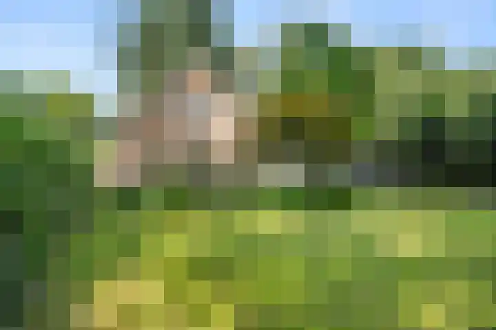 Bosmeesterskamp 3 A Bennekom thumbnail 9