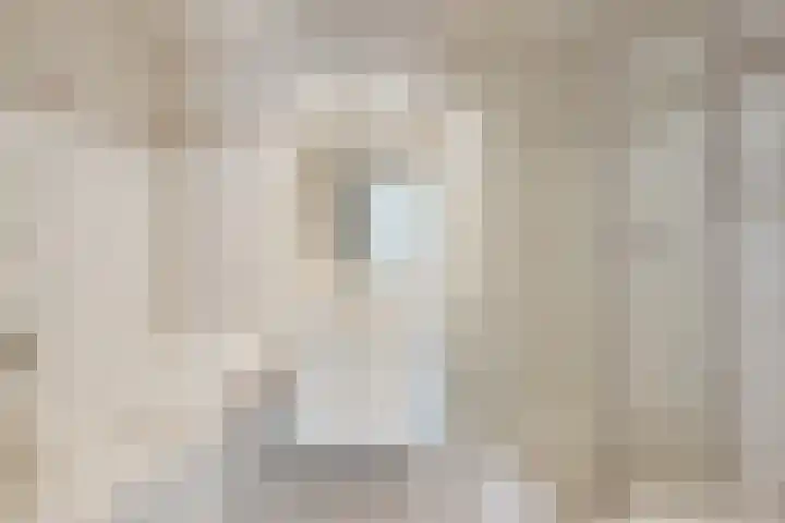 Bosmier 8 Wilbertoord thumbnail 10