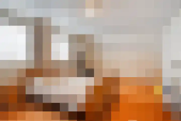 Bosmier 8 Wilbertoord thumbnail 13
