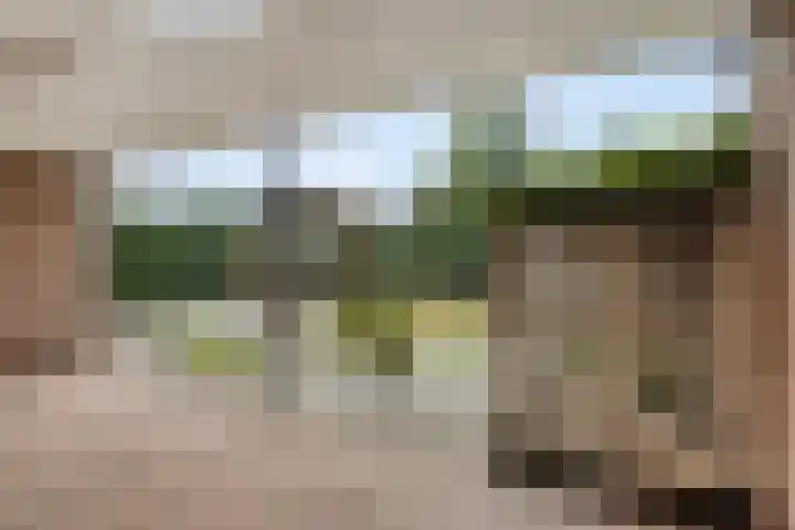 Bosmier 8 Wilbertoord thumbnail 16