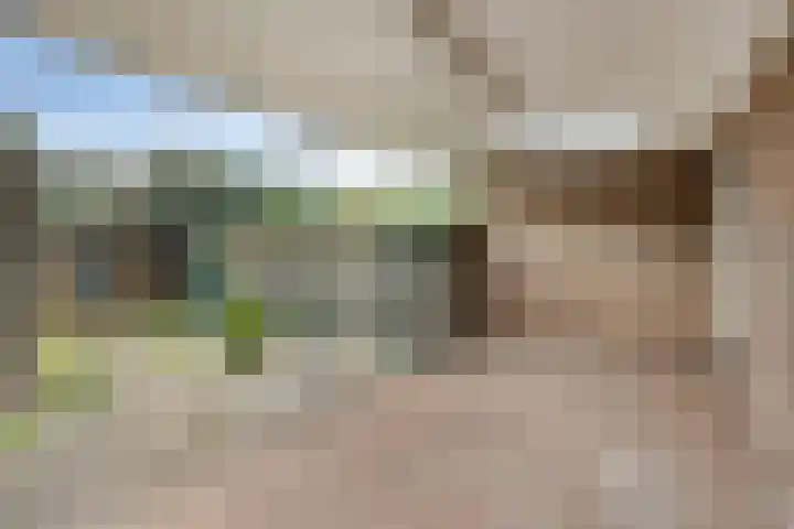 Bosmier 8 Wilbertoord thumbnail 17