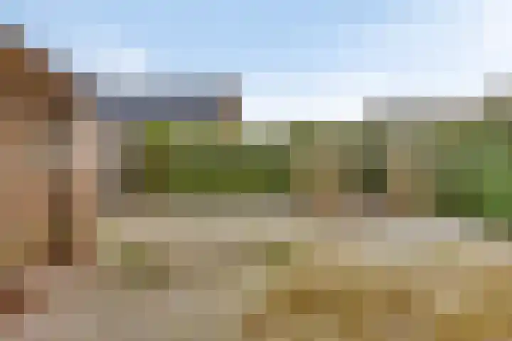 Bosmier 8 Wilbertoord thumbnail 18
