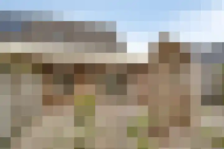 Bosmier 8 Wilbertoord thumbnail 19