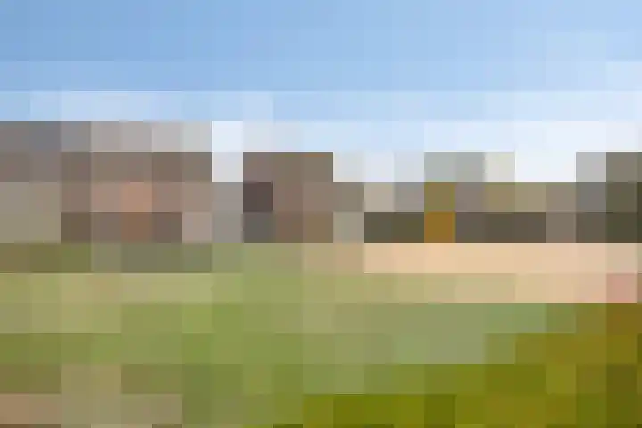 Bosmier 8 Wilbertoord thumbnail 20