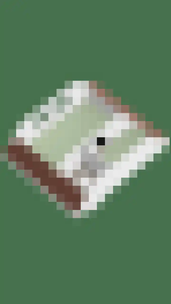 Bosmier 8 Wilbertoord thumbnail 29
