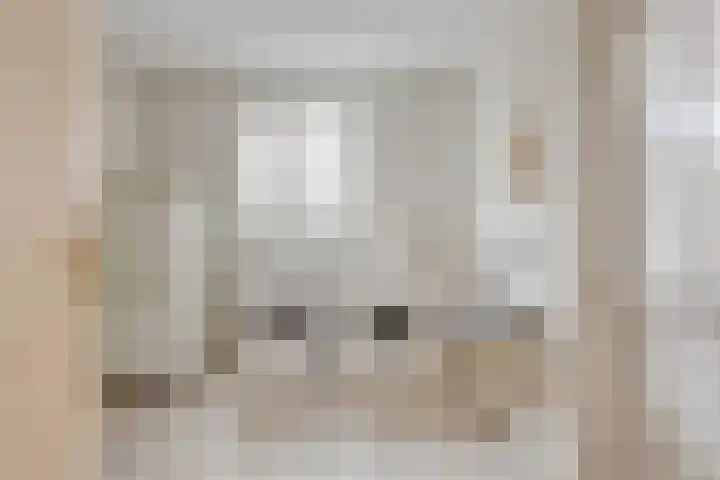 Bosmier 8 Wilbertoord thumbnail 8