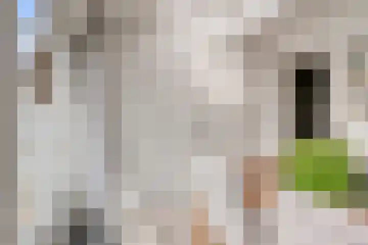 Bosmuislaan 10 Veenendaal thumbnail 20