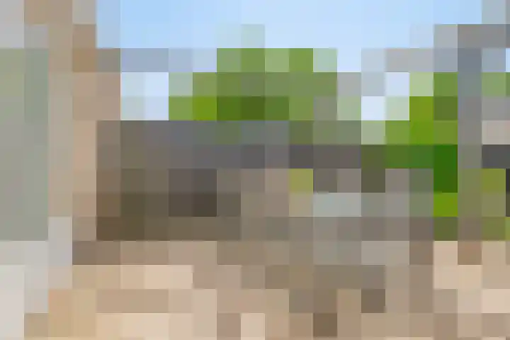 Bosmuislaan 10 Veenendaal thumbnail 31