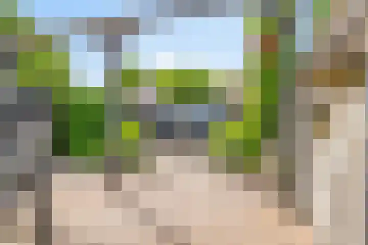 Bosmuislaan 10 Veenendaal thumbnail 32