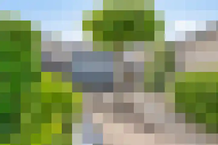 Bosmuislaan 10 Veenendaal thumbnail 33