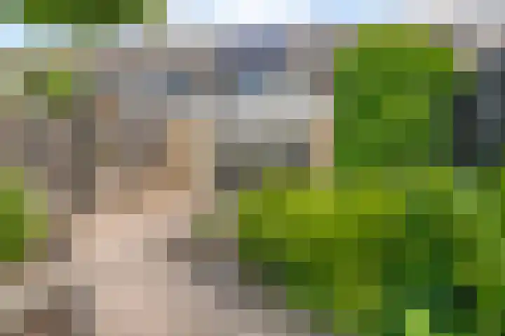 Bosmuislaan 10 Veenendaal thumbnail 34