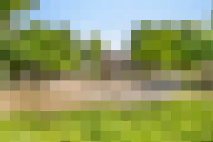 Bosmuislaan 10 Veenendaal thumbnail 35