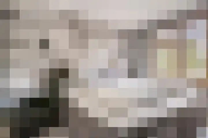 Bosmuislaan 10 Veenendaal thumbnail 4