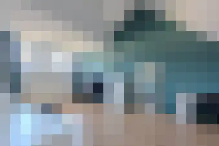 Bosmuizenlaar 18 Bavel thumbnail 20