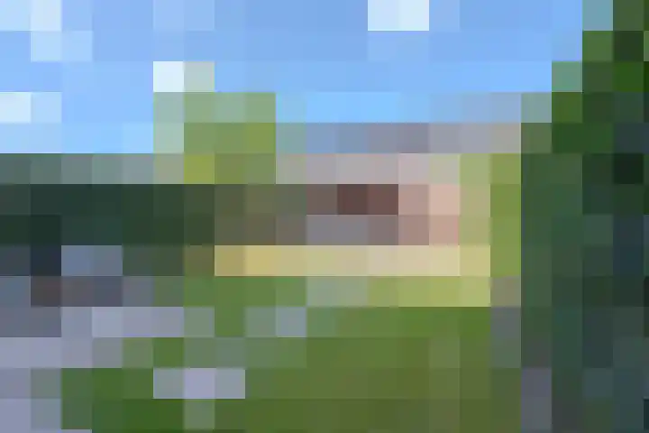 Bosmuizenlaar 18 Bavel foto 3