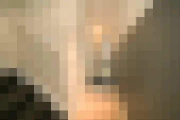 Bosmuizenlaar 21 Bavel thumbnail 10