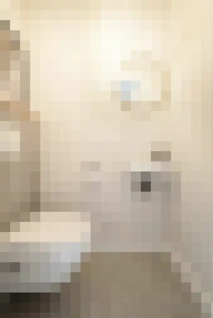 Bosmuizenlaar 21 Bavel thumbnail 13