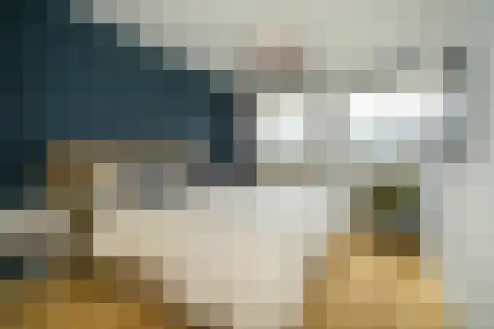 Bosmuizenlaar 21 Bavel thumbnail 27