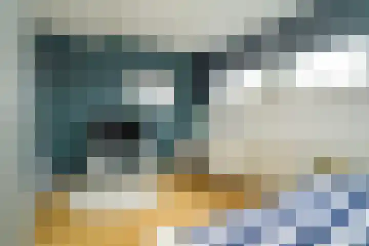 Bosmuizenlaar 21 Bavel thumbnail 38
