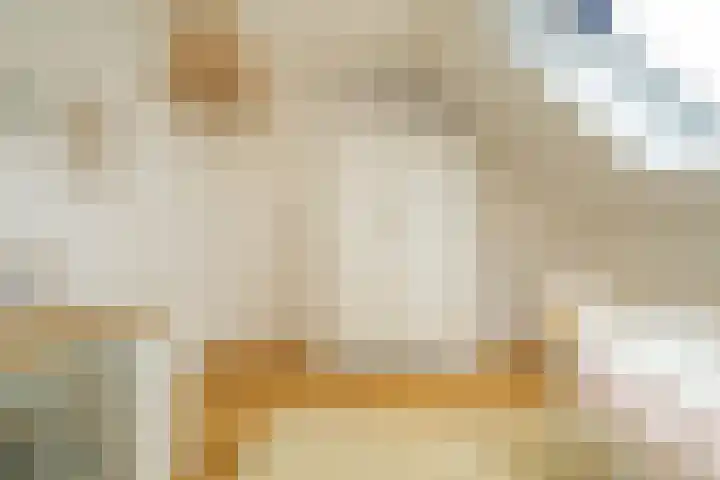 Bosmuizenlaar 21 Bavel thumbnail 44