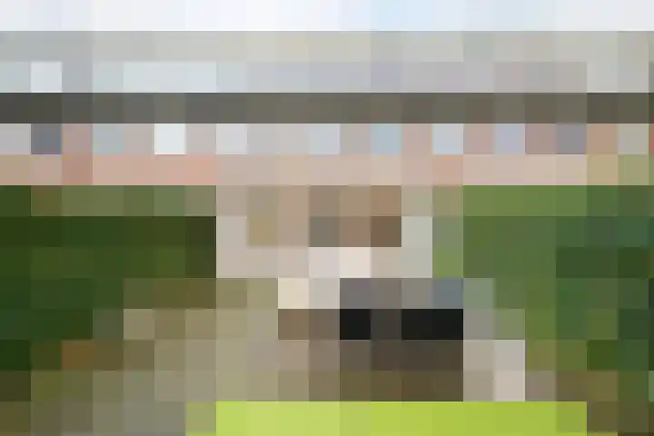 Bosmuizenlaar 21 Bavel thumbnail 46