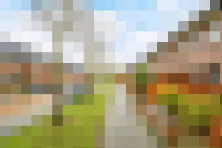Bosmuizenlaar 21 Bavel thumbnail 49