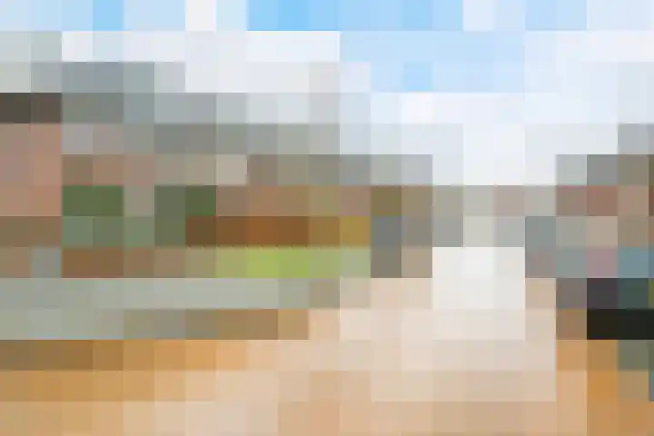 Bosmuizenlaar 21 Bavel thumbnail 50