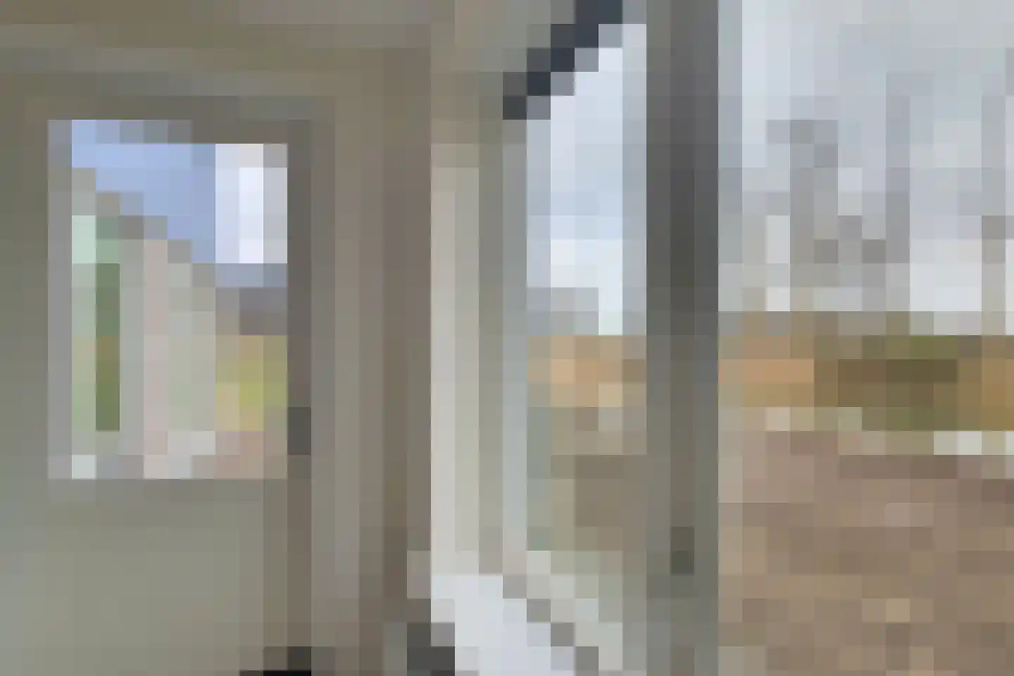 Bosorchidee 25 Lelystad thumbnail 21