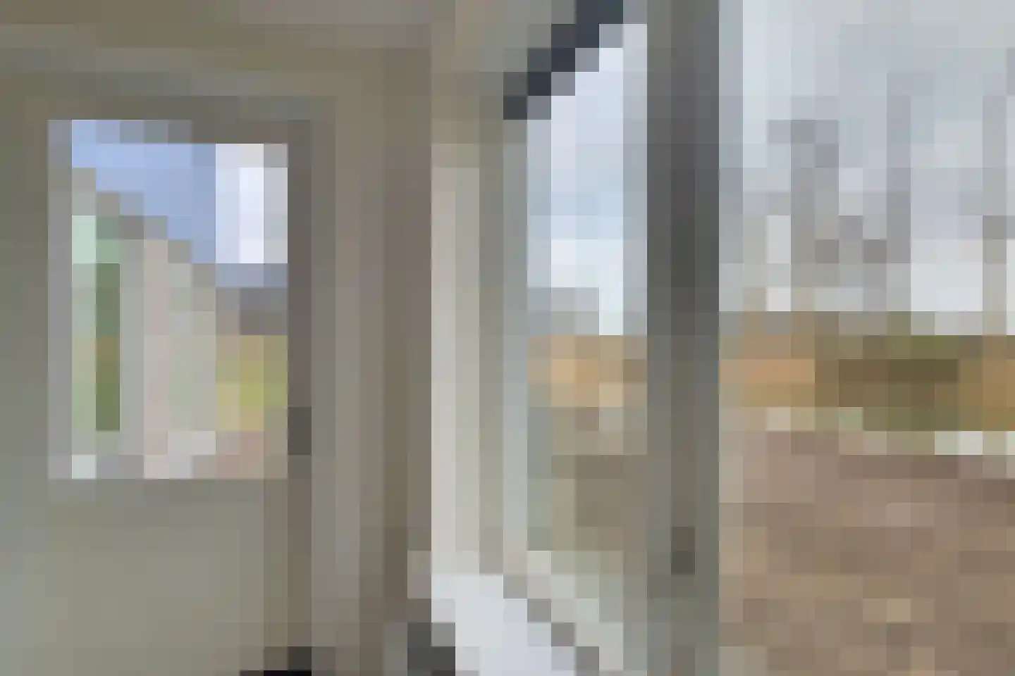 Bosorchidee 25 Lelystad thumbnail 22