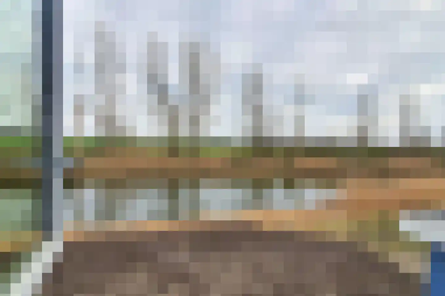 Bosorchidee 25 Lelystad thumbnail 30