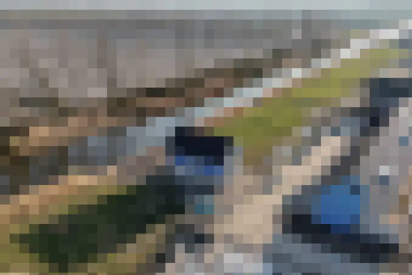 Bosorchidee 25 Lelystad thumbnail 40