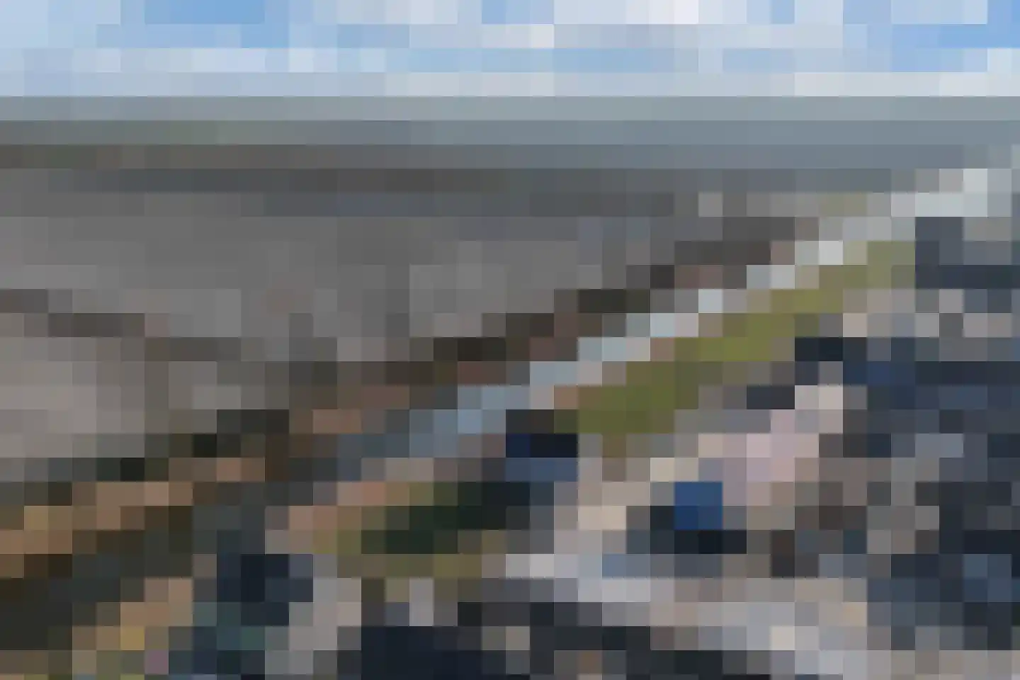 Bosorchidee 25 Lelystad thumbnail 41