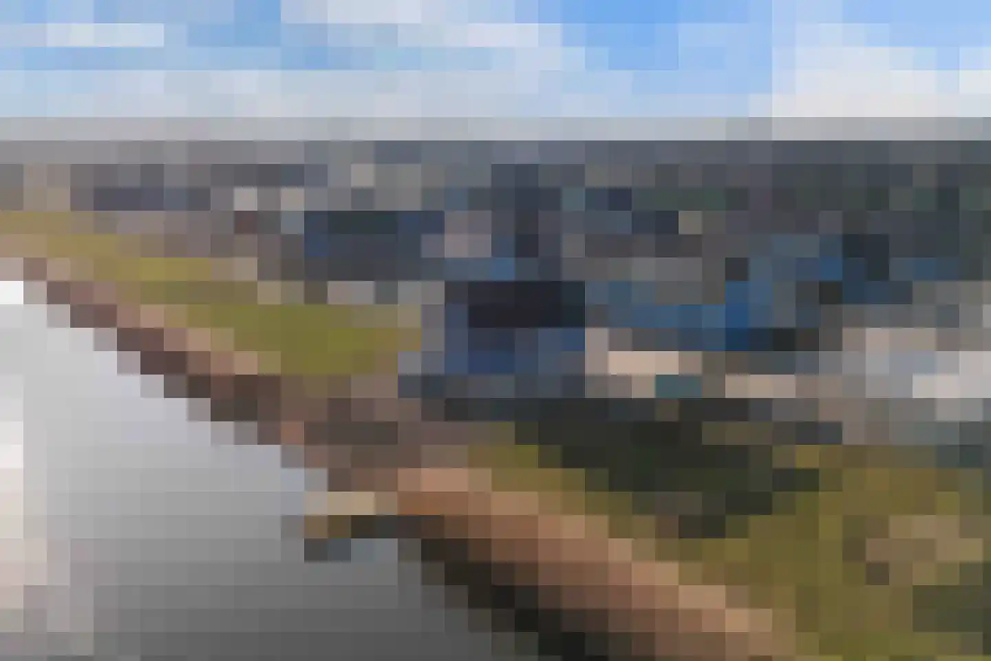 Bosorchidee 25 Lelystad thumbnail 45