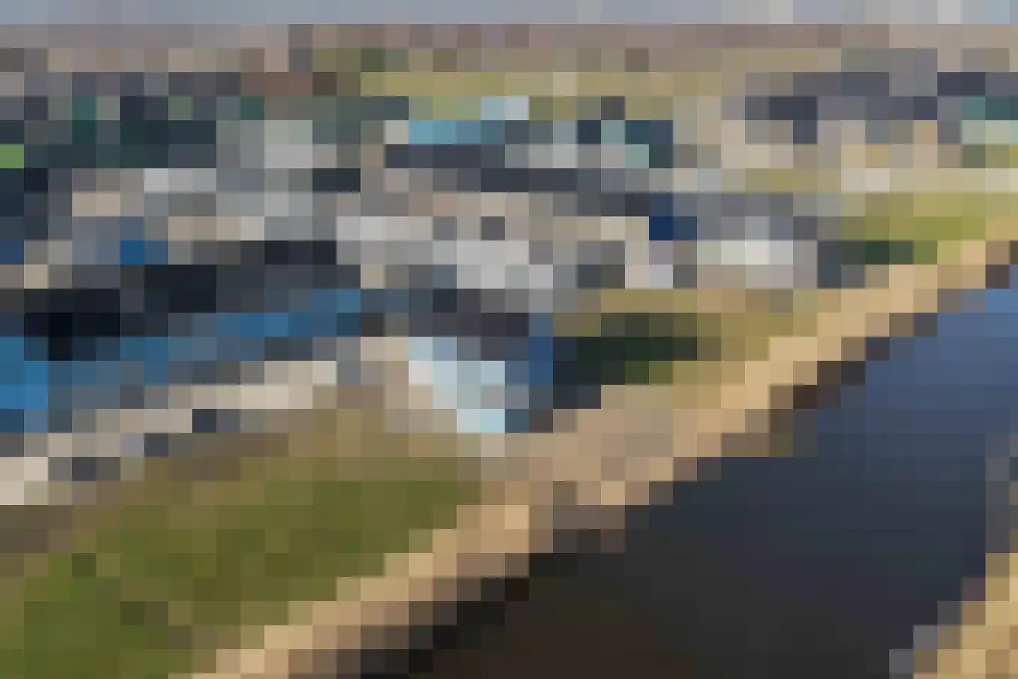 Bosorchidee 25 Lelystad thumbnail 47