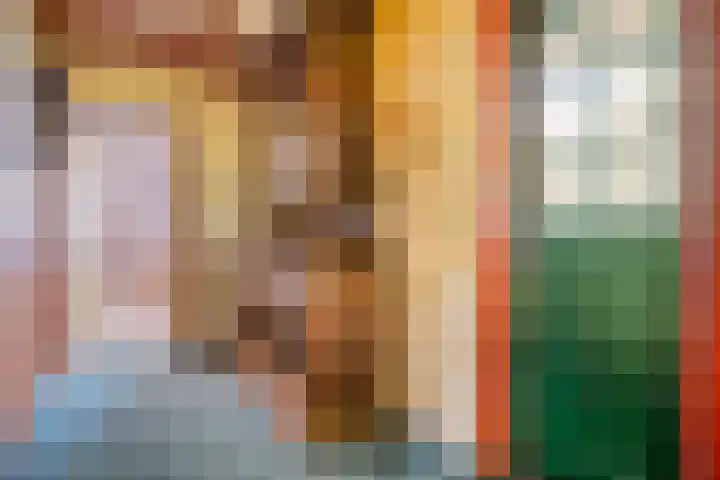 Bospad 2 Zeegse thumbnail 12