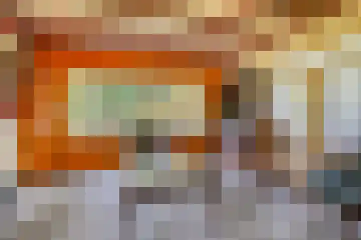 Bospad 2 Zeegse thumbnail 15