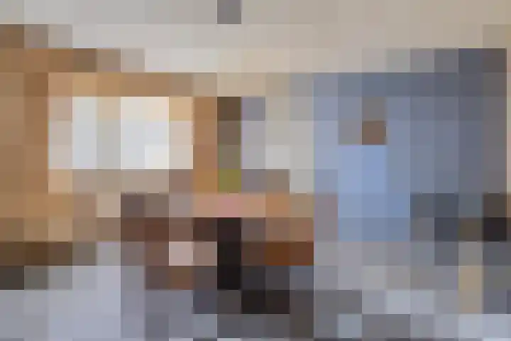 Bospad 2 Zeegse thumbnail 27