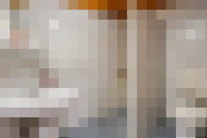 Bospad 2 Zeegse thumbnail 29