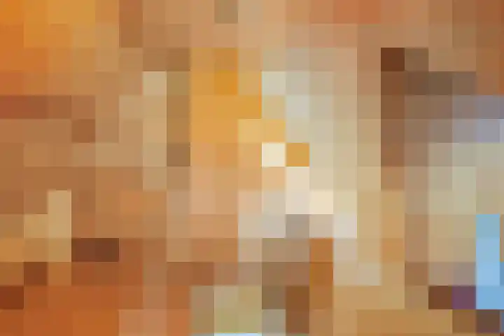 Bospad 2 Zeegse thumbnail 34