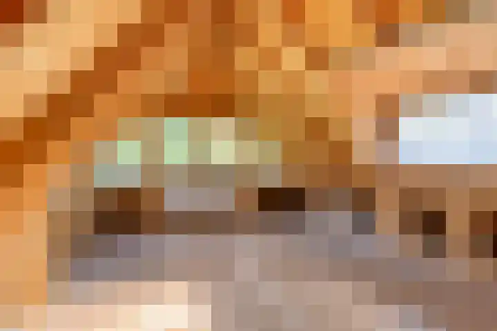 Bospad 2 Zeegse thumbnail 35