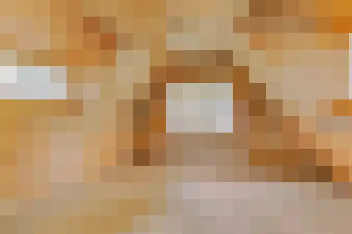 Bospad 2 Zeegse thumbnail 37
