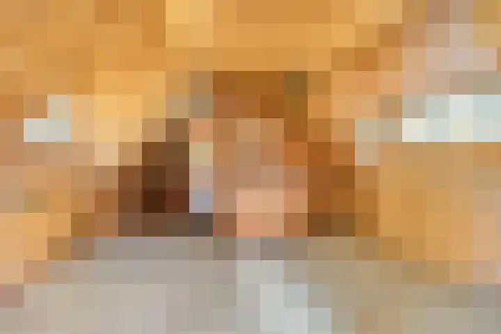 Bospad 2 Zeegse thumbnail 38