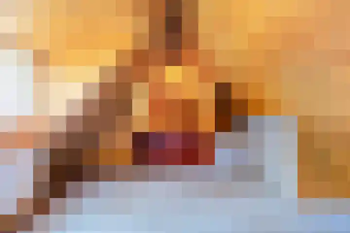 Bospad 2 Zeegse thumbnail 40