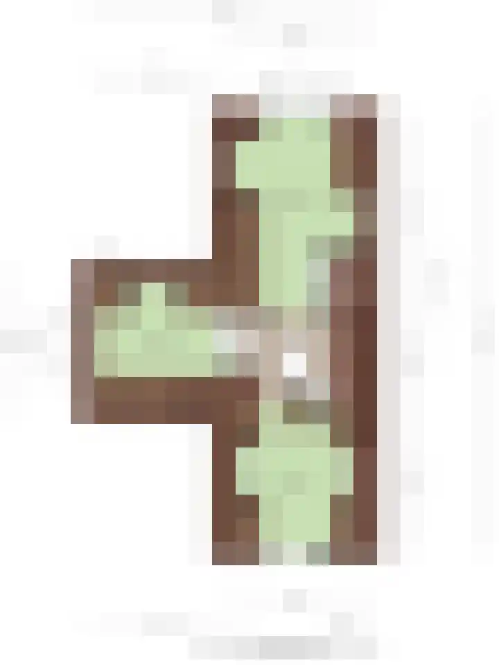 Bospad 2 Zeegse thumbnail 41