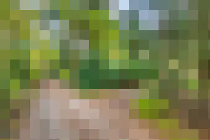 Bospad 2 Zeegse thumbnail 42