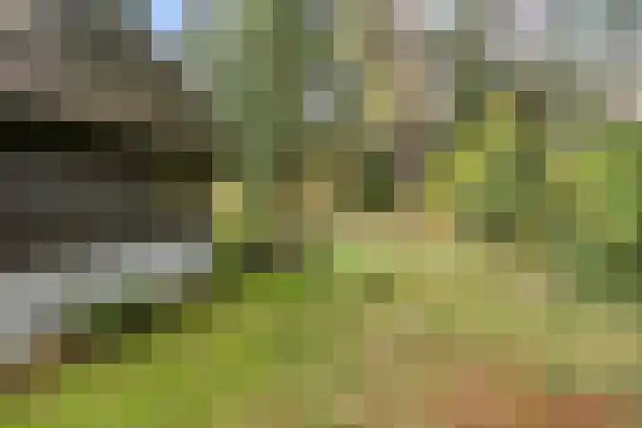 Bospad 2 Zeegse thumbnail 48