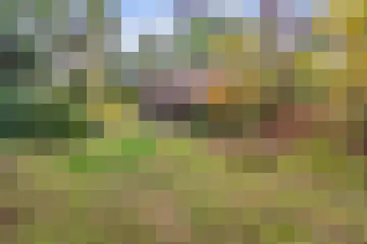 Bospad 2 Zeegse thumbnail 5