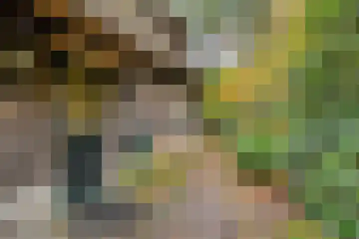 Bospad 2 Zeegse thumbnail 7