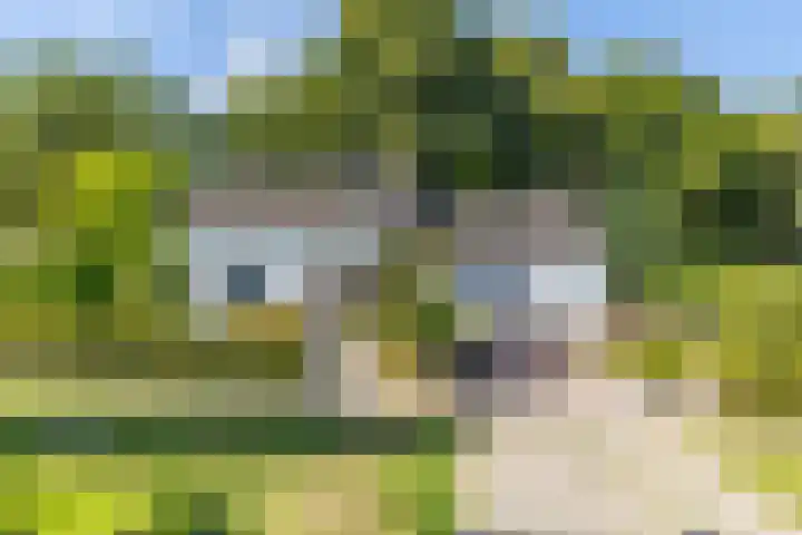 Bospad 28 Heerlen thumbnail 44